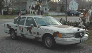 cow car