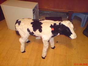 cow figurines