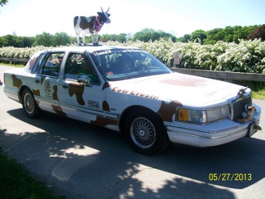 cow car