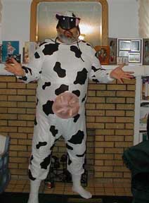man cow