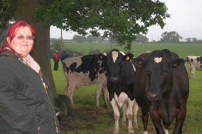 Madoncows