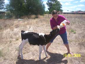 bottle feeding