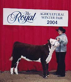 At the Show