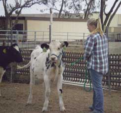 in her halter