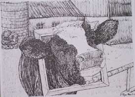 cow sketch