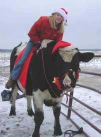 Christmas steer